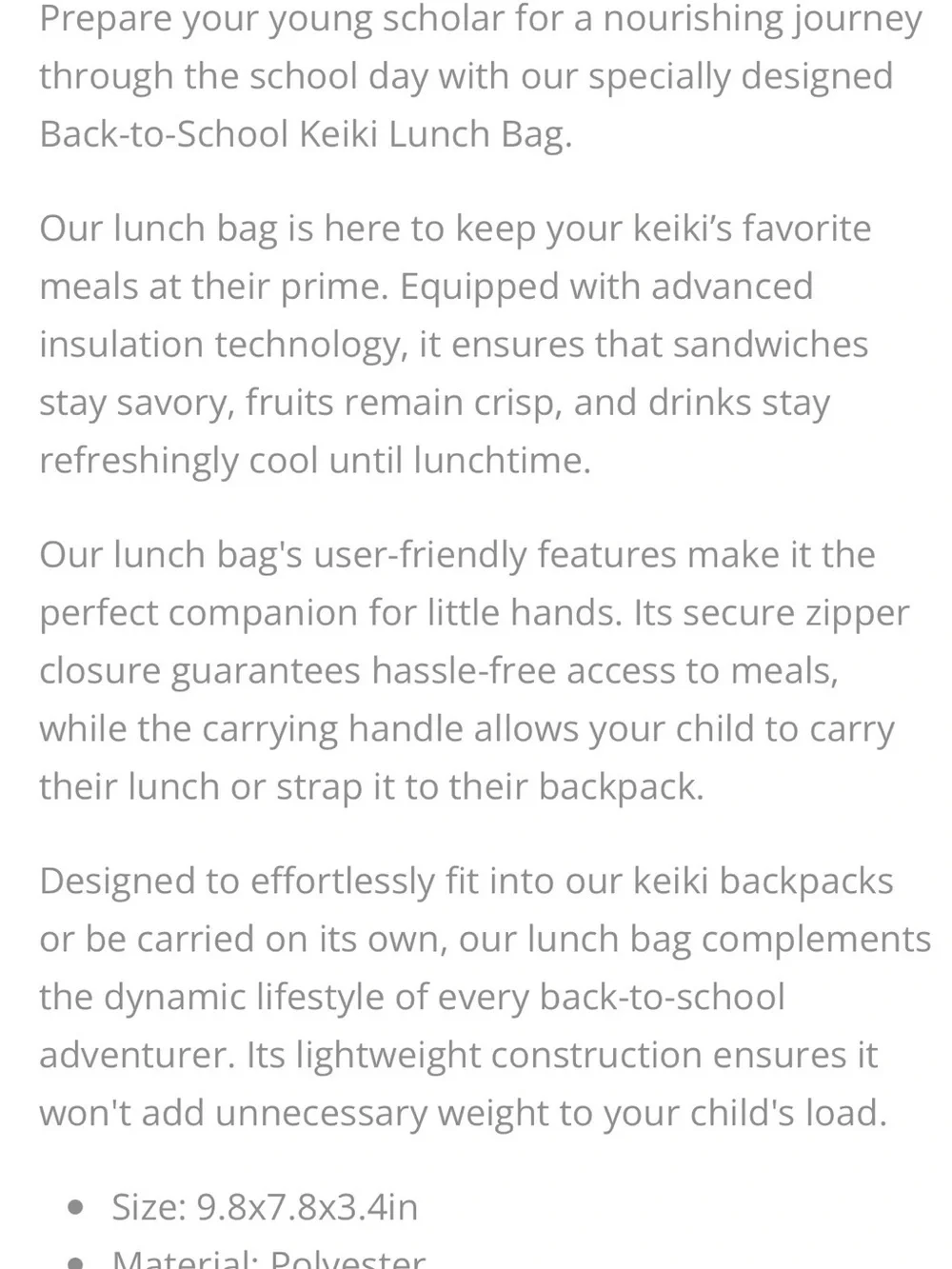 Pineapple Lunch Bag